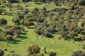 parcelas y terrenos en venta urbanizacion atalaya del alberche (4).jpg